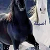 user1979305263283
