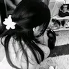 _shiasheds