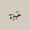 hassan.ali..93