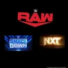 wwebrands3