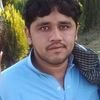 safirshamshikel