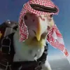 llllll_lllllllll_llllll_