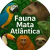 faunamataatlantica
