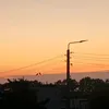 rysunki_18