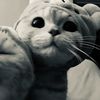 averytact