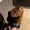 souljagurl.com