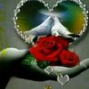 turunesh7