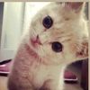 qotrun_nadaa9