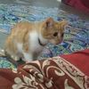 kevin.prasetio4