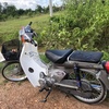 supercub50cc