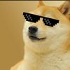 doge3836