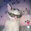 _juliathekindafunnyperso
