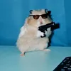 octavio.nuez3