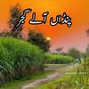 nadeem.gujjar720