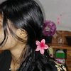 anjuman_ara_anonna