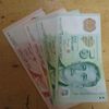 darwin_basir