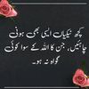 basharmomin353
