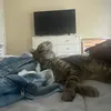 wechillingfr0