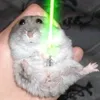 sklejmorde60