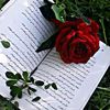 naureen98231