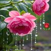 md.mirajul.islam.65