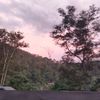 sitinorsoleha123
