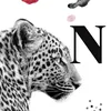 narjis6792