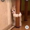 yay_56for