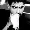 lolom9q8