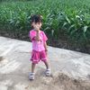 nguyn.c519