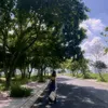 Mình là chiếc lá 🍃