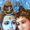 krishna.chaudhary663