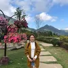 viendang22225