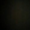 user770375451196