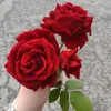 om.noor168