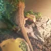 steven_081624