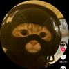 zwe.waiyan.htet42