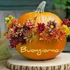 francy7470