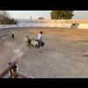 pulgarcitojr.0
