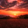 alnd_58