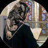 zahso313