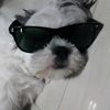 moopapang