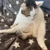 lou_5846