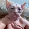 djdidjjrjr