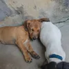 nanan.silva7