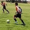 palacios4572