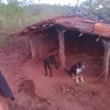 berguiman.jnior.p