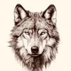 alphawolf_804