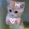 mrs.nounours3