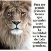 santiago.galicia41
